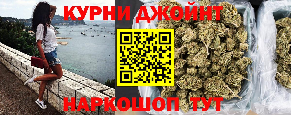 Конопля сатива Сатка